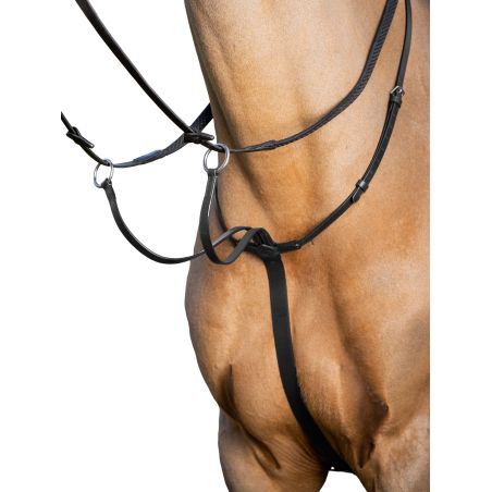 Martingala con anillos LeMieux Arika