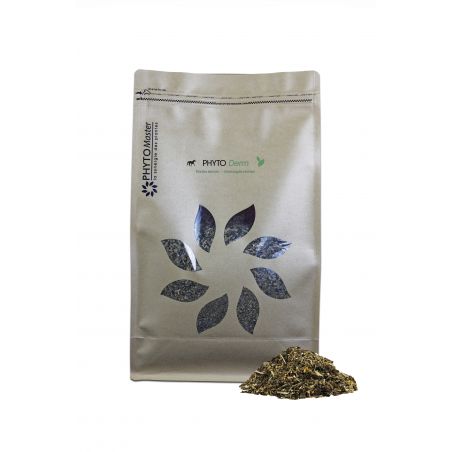 phyto derm Phytomaster - piel