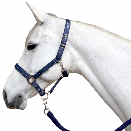 Conjunto de cabezada de cuadra y ramal Varna Flags & Cup