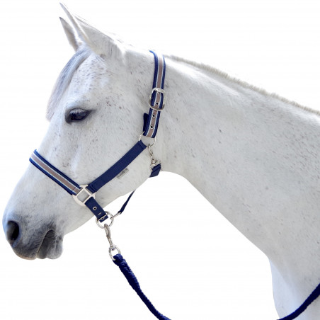 Set de cabezada y riendas Doulovo Flags & Cup