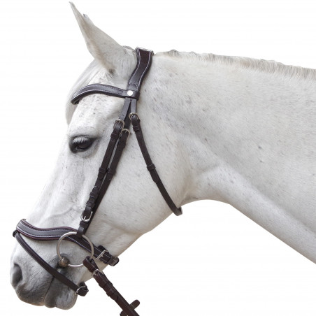 Brida Canter Baloubet