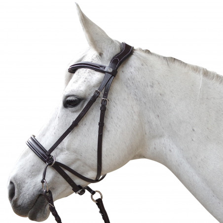 Bridon Canter sin embocadura Evolution