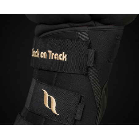 Protector de lomo Back on Track® Royal Deluxe