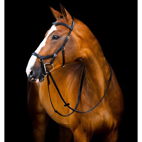 Brida Horseware Micklem 2 Deluxe Competición
