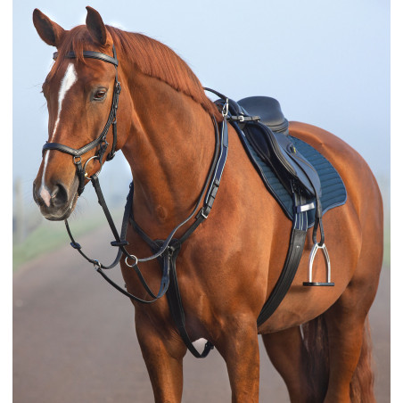 Pechopetral Horseware Micklem