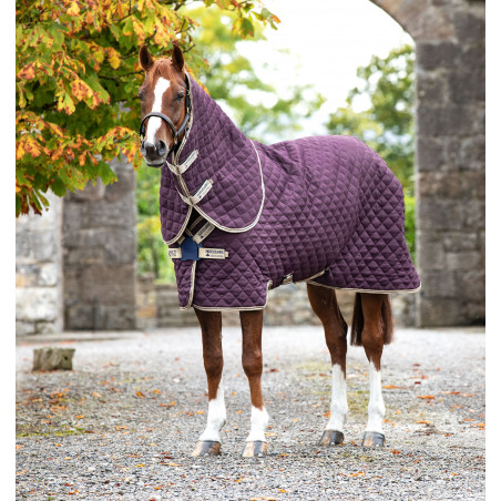 Manta de cuadra Horseware Amigo Plus Disco 200g