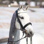 Brida Weymouth Vienna Horze