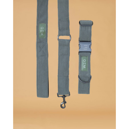 Pack Collarín y Correa GEM