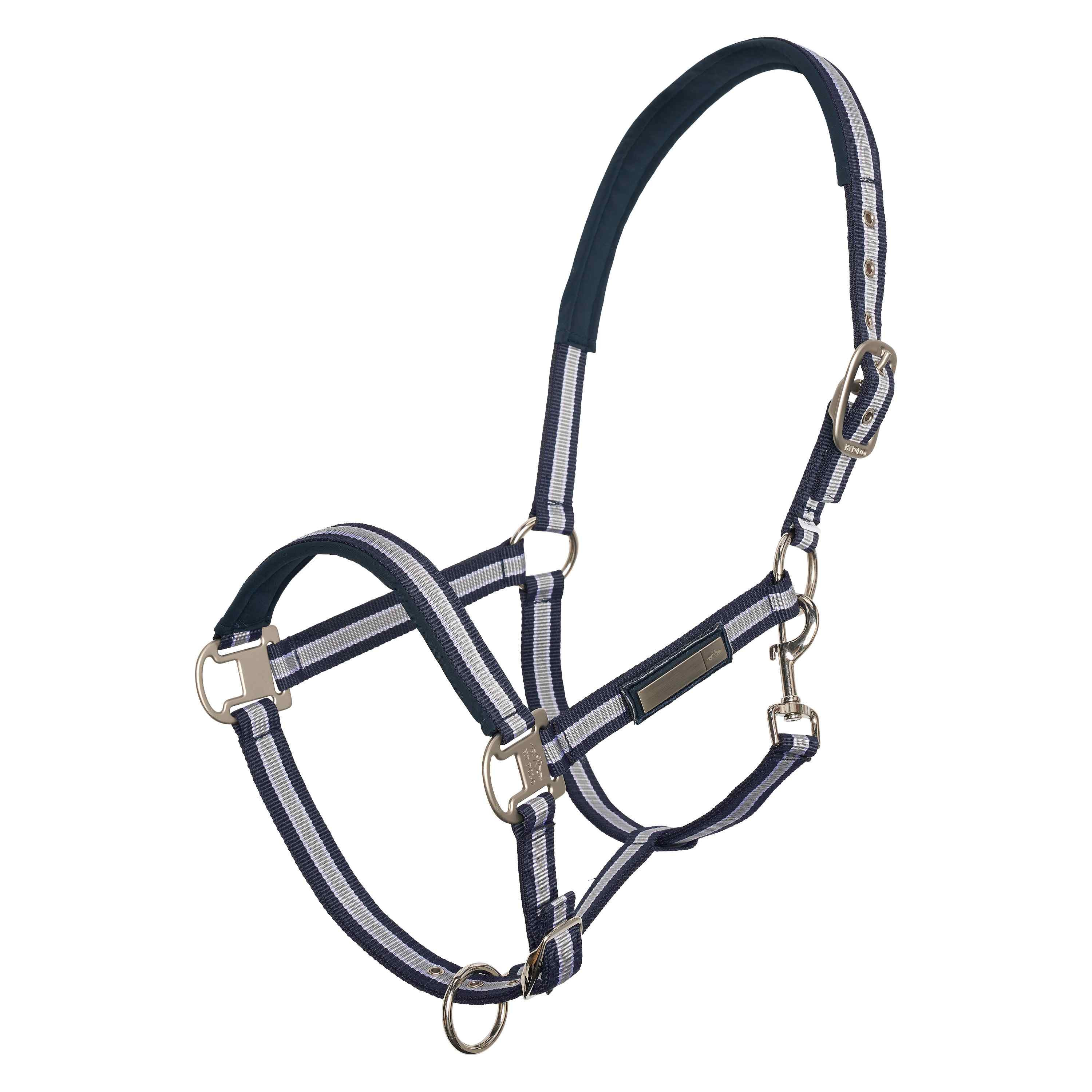 Cabezada HV Polo Classic Stripe Púrpura Violeta