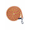 Longe Hobby Horsing HKM - Rosa / amarillo