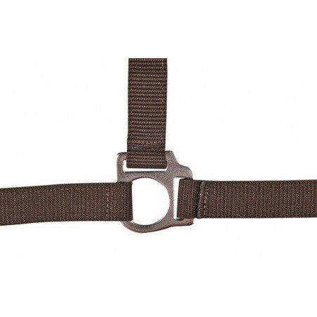 Cabezada Stars Economy HKM