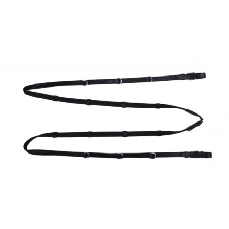 Enrénement Thiedemann HKM