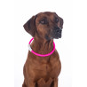 Collar luminoso para perros LED HKM - Rosa