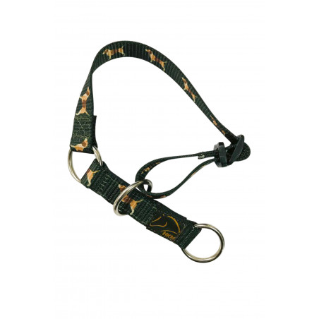 Collar para perro Beagle HKM