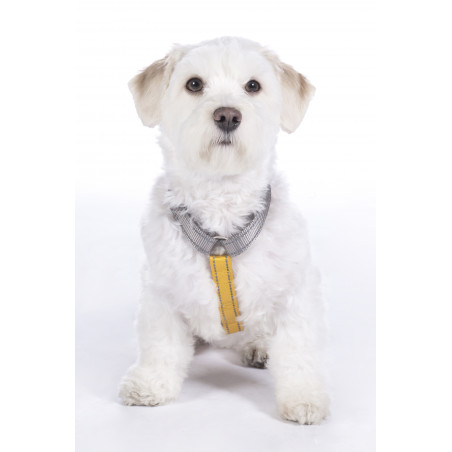 Arnés para perro Anam Cara Basic nylon HKM