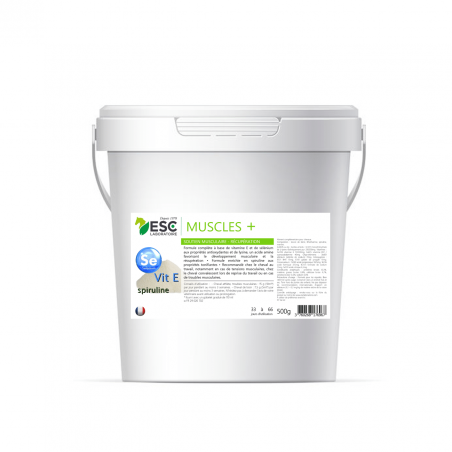 Muscle+ ESC Laboratorio