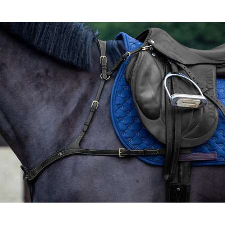 Pechopetral Anatómico Dy'on D Collection