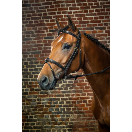 Cabezada con Muserola Combinada Dy'on D Collection