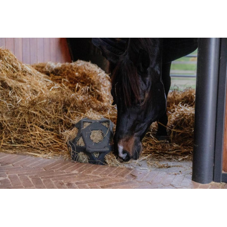 Pelota de juego / pelota de heno Kentucky