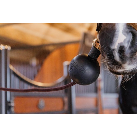 Bola de protección de enganche Kentucky