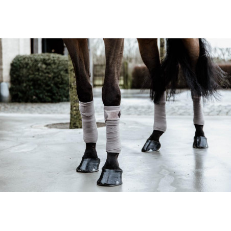 Bandas de polo Polar Fleece Basic Velvet Kentucky