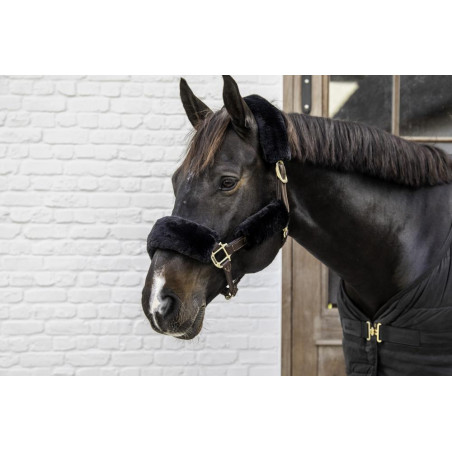 Fundas de borrego para cabezada 4 piezas Kentucky