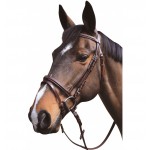 Cabezada cierraboca Lexington Austin