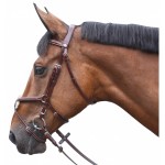 Cabezada mejicana Lexington Austin