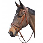 Cabezada cierraboca Lexington Denver