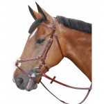 Cabezada mejicana Lexington Denver