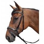 Cabezada cierraboca Lexington Tucson