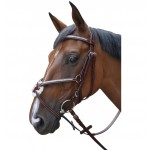 Cabezada mejicana Lexington Tucson