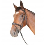 Cabezada Cabourg Privilege Equitation