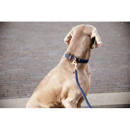 Correa para perro de nailon trenzado 120 cm Kentucky