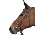 Cabezada Pull Back Cannes