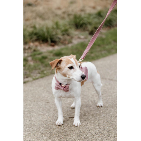 Correa para perro Velvet 120 cm Kentucky