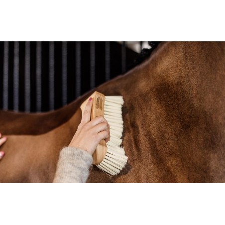 Cepillo de cerdas suaves Kentucky