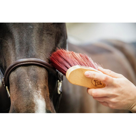 Tapón medio largo Kentucky