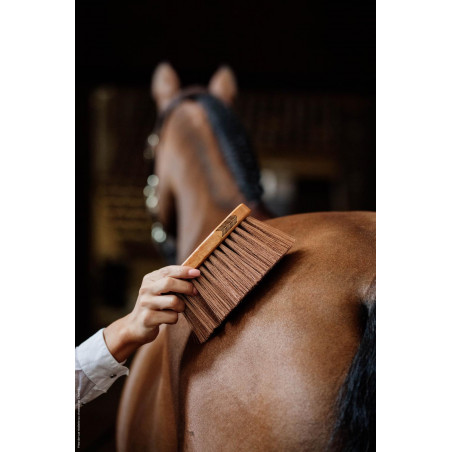 Tapón medio medium Kentucky