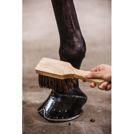 Cepillo para cascos Kentucky