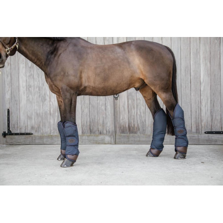 Guarniciones de transporte Kentucky