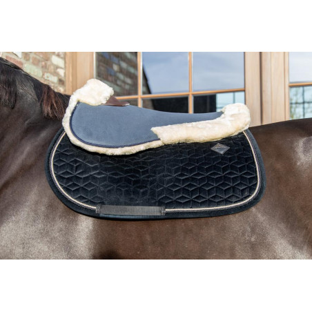 Amortiguador de oveja Absorb Kentucky