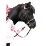 Cabezada Educativa Chetak modelo shetland