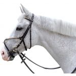 Cabezada Clencher Cruz Chetak