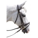 Cabezada Pull Back Euro Chetak