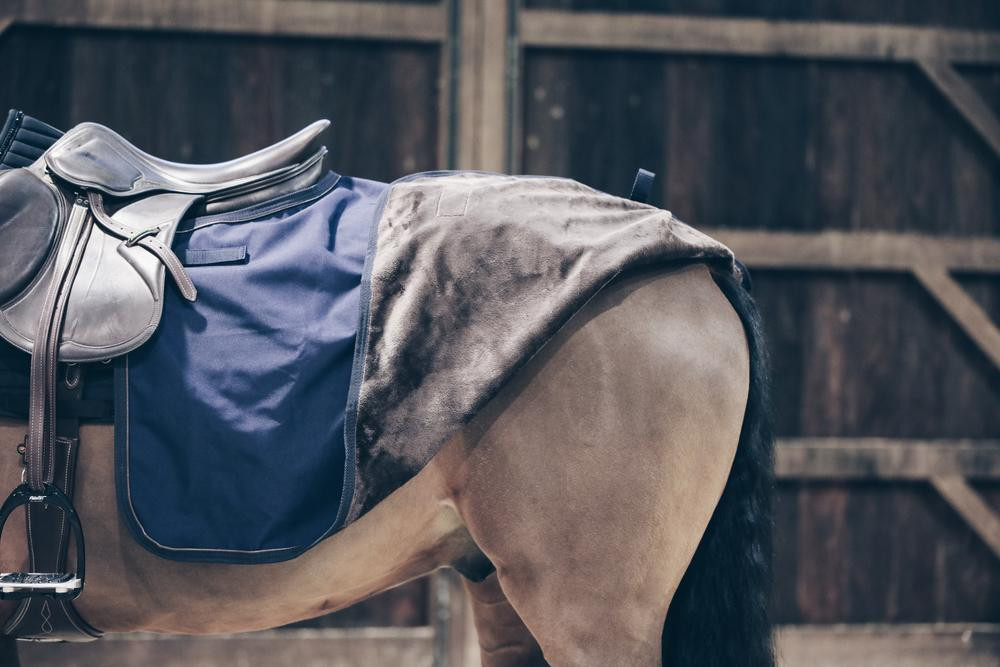 Cubre-ríñones Cuadrado All Weather Kentucky Marino Azul marino