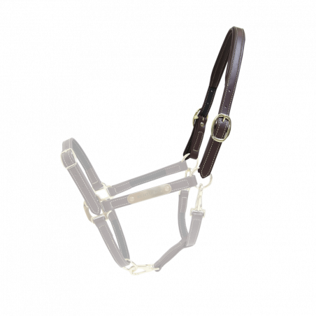 Cabezal para Cabestro Flexible Kentucky