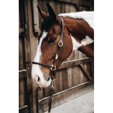 Cabezada de cepillado de cuero Kentucky