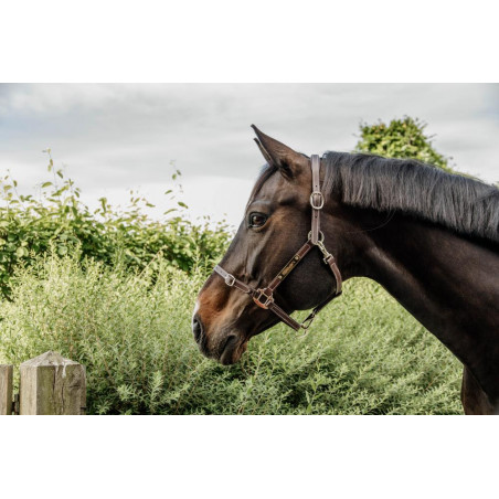 Cabezada Flexible Kentucky