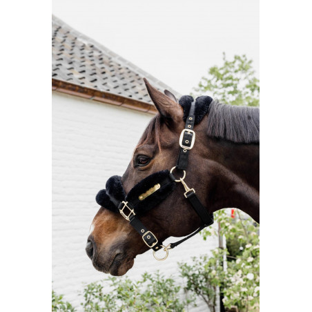 Cabezada de nailon con borreguillo Soft Kentucky